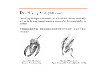 NATURE'S Essence Detozifying Shampoo (500ml)