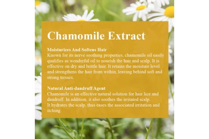 NATURE'S Rebalancing Shampoo NATURE'S Rebalancing Shampoo